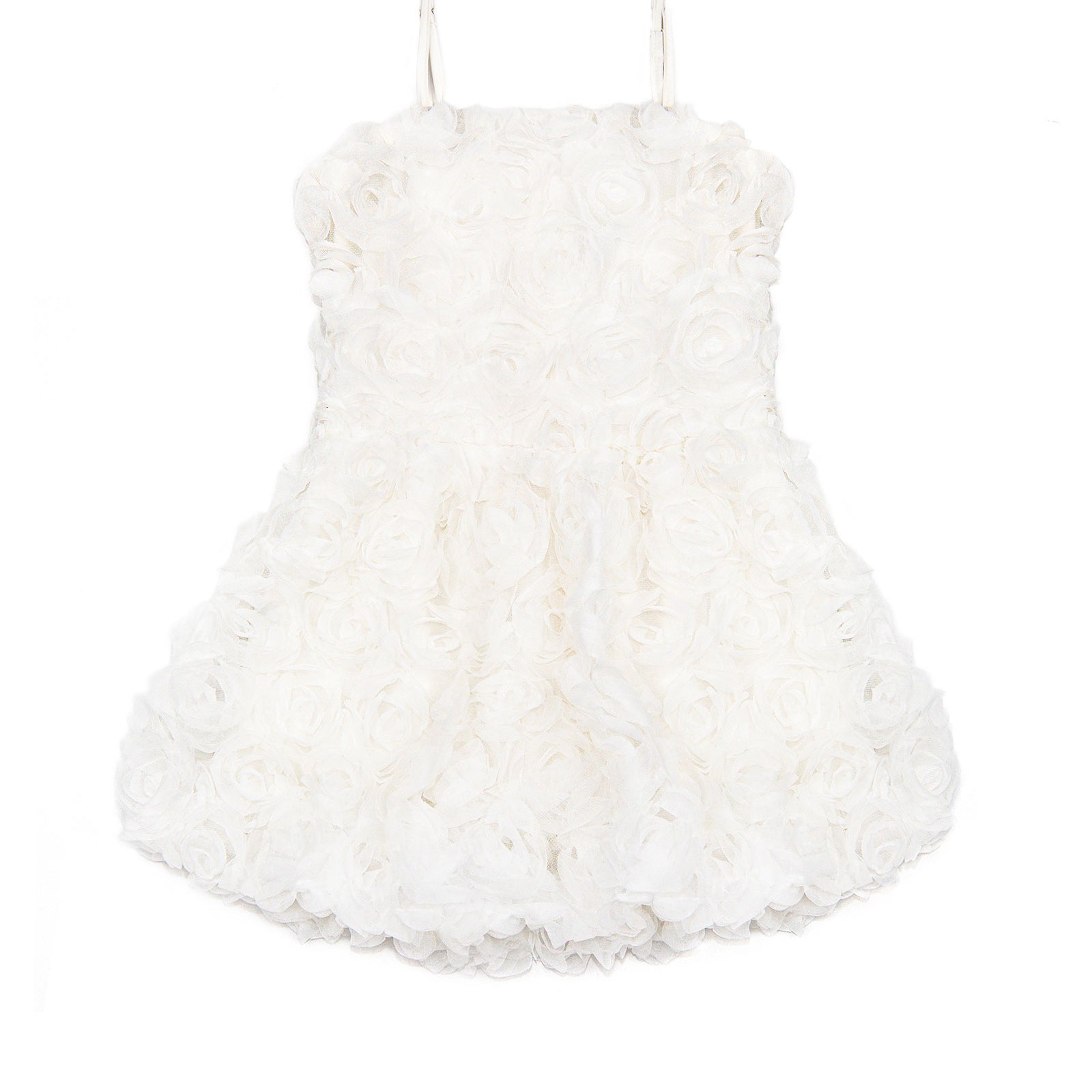 FBZ Girls Serena Allover Roses Dress