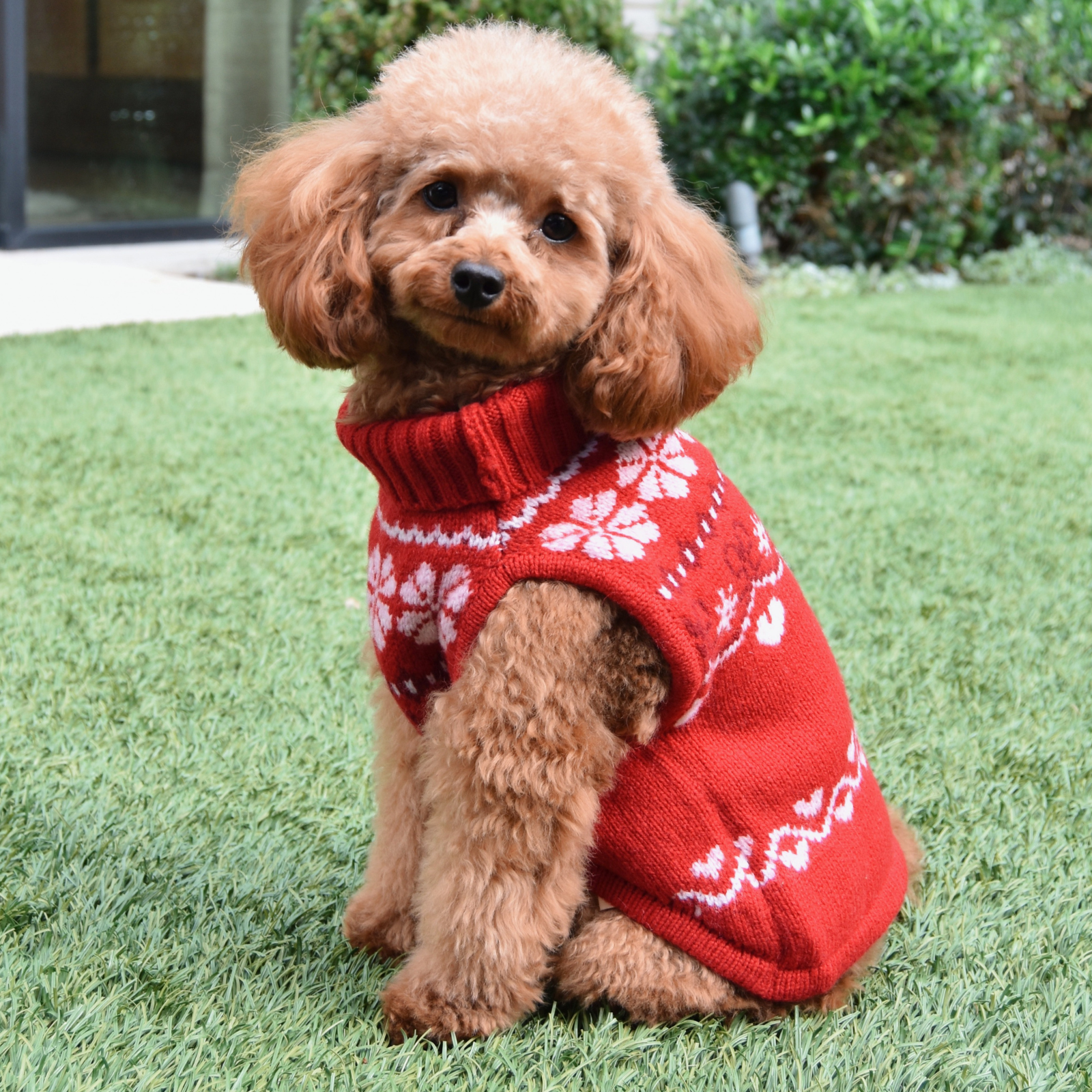 Love Shack Fancy Women Arindia Dog Sweater Red Velvet Truffle Distressed/seasonal accessories Love Shack Fancy Red Dog/S