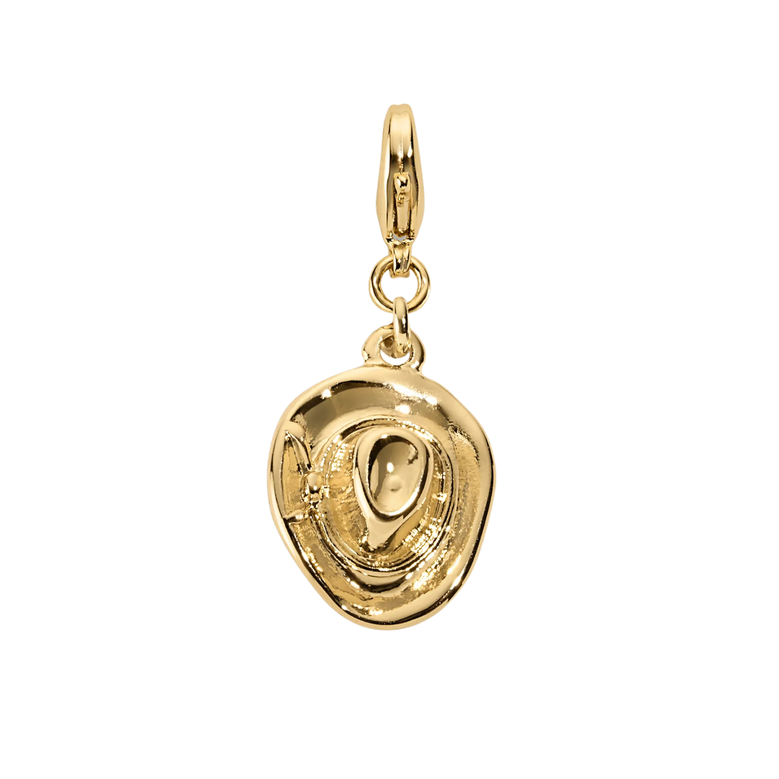 Electric Picks Charm Cowboy Hat