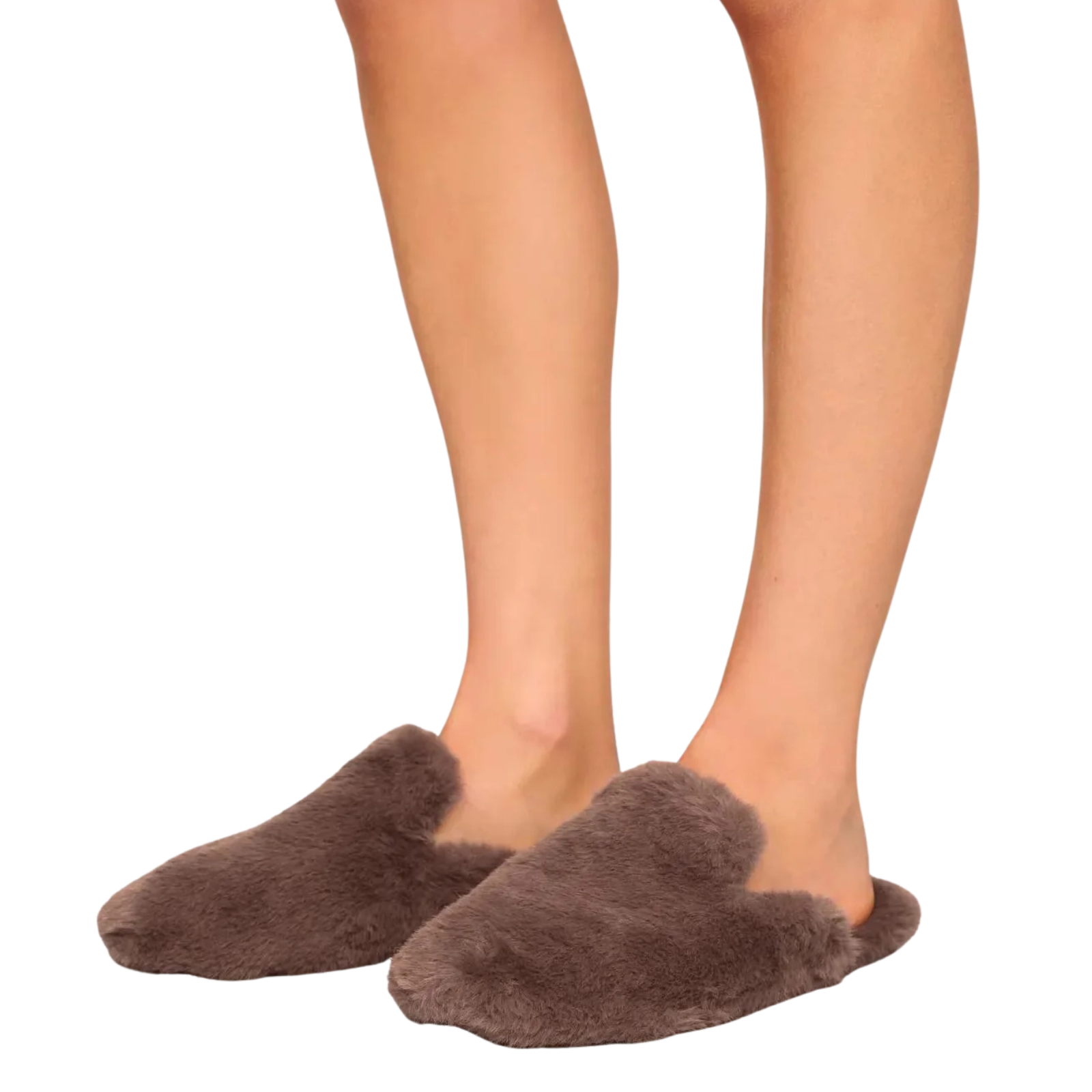 Eberjey Women Plush Mule Slippers Deep Taupe Accessories Eberjey Deep Taupe Shoes/5-6