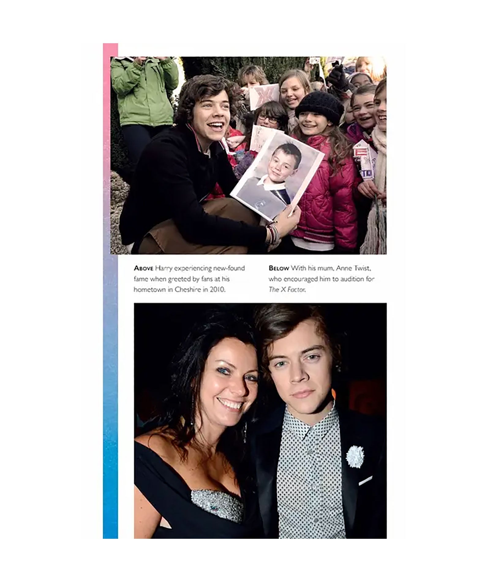 Harry Styles: The Unauthorized Biography Distressed/seasonal gifts Frankie's Exclusives