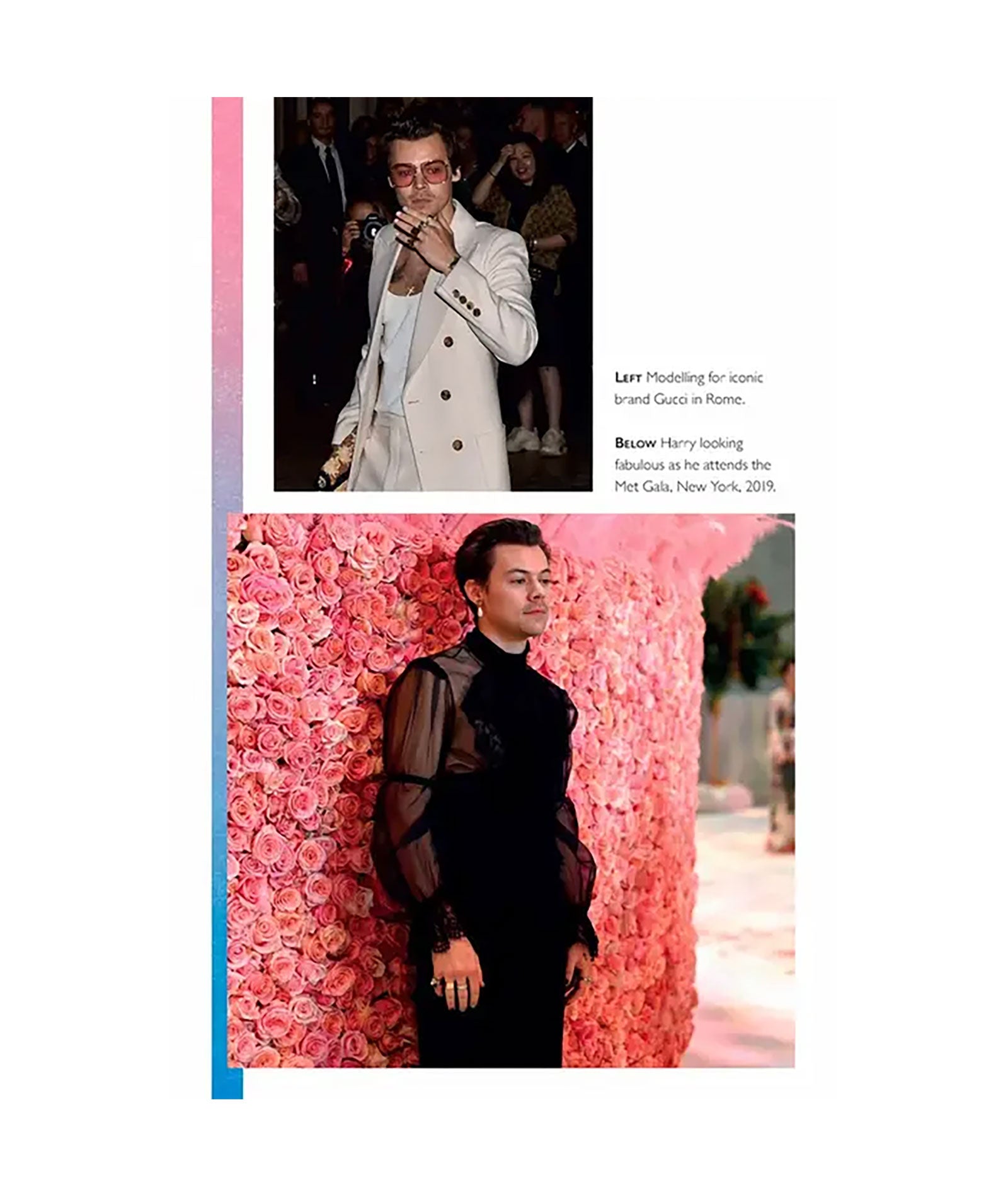 Harry Styles: The Unauthorized Biography Distressed/seasonal gifts Frankie's Exclusives