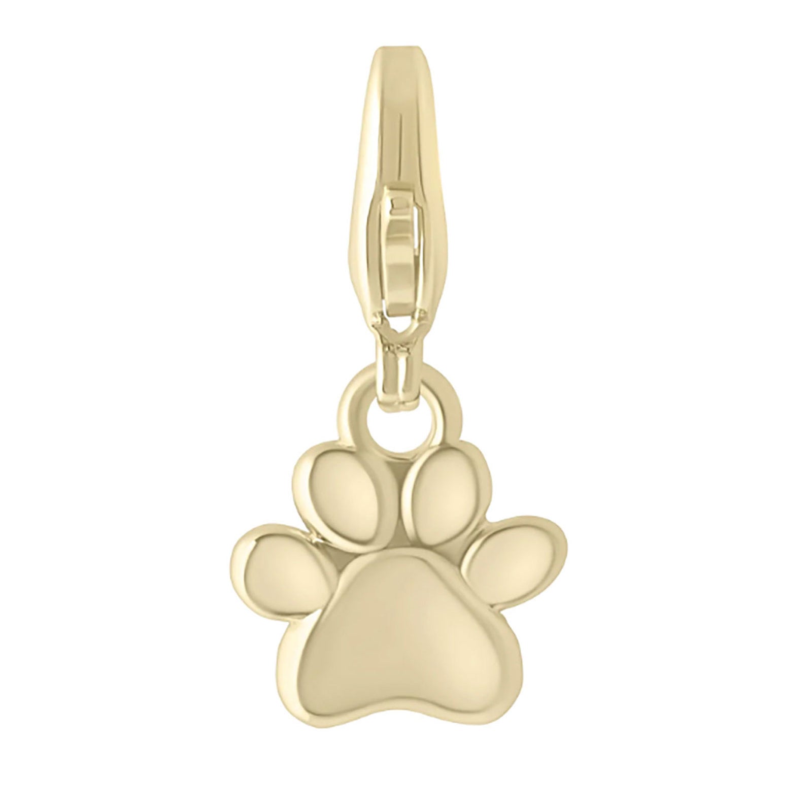 Electric Picks Charm Paw Accessories Electric Picks Gold
