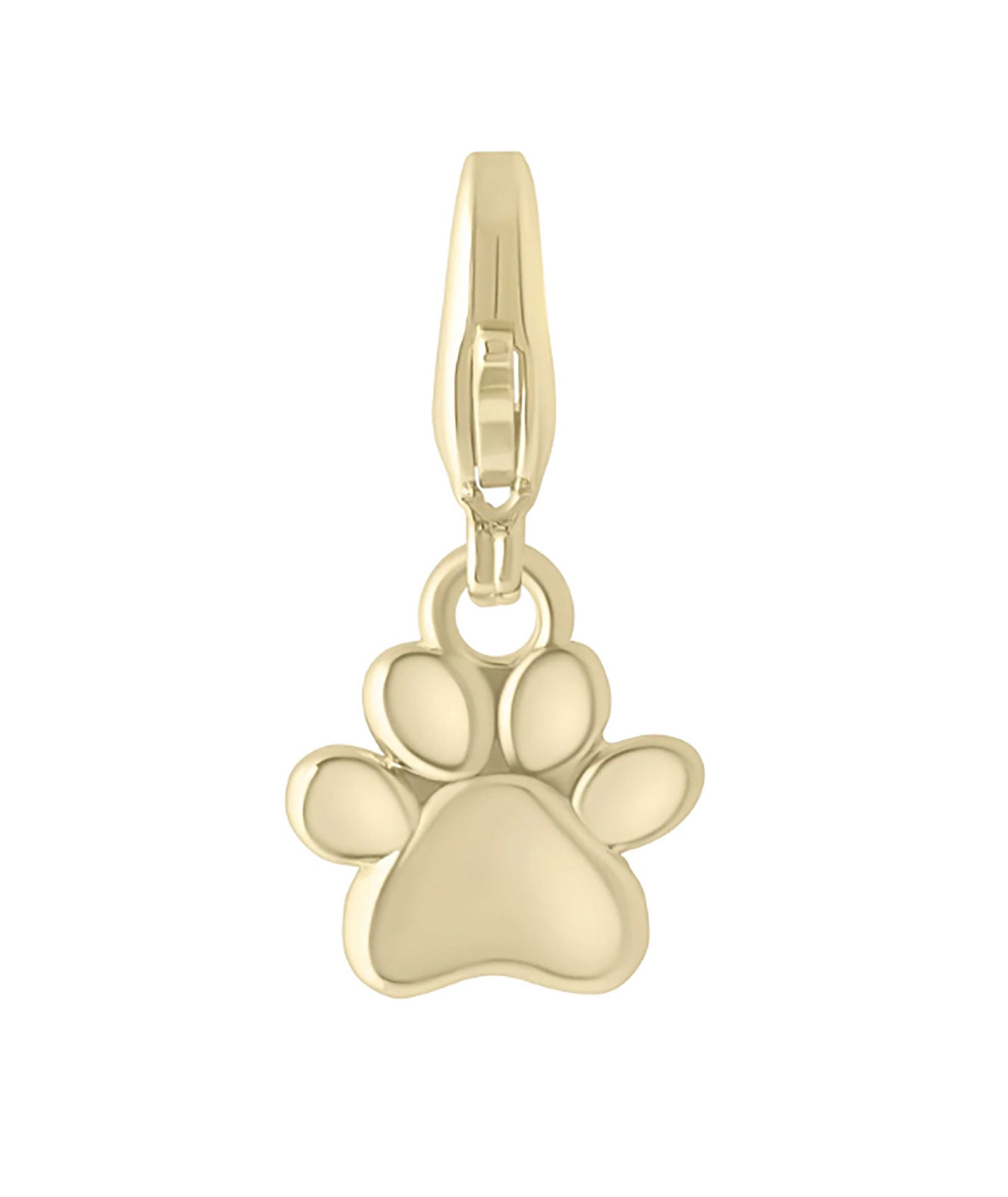 Electric Picks Charm Paw Accessories Electric Picks Gold