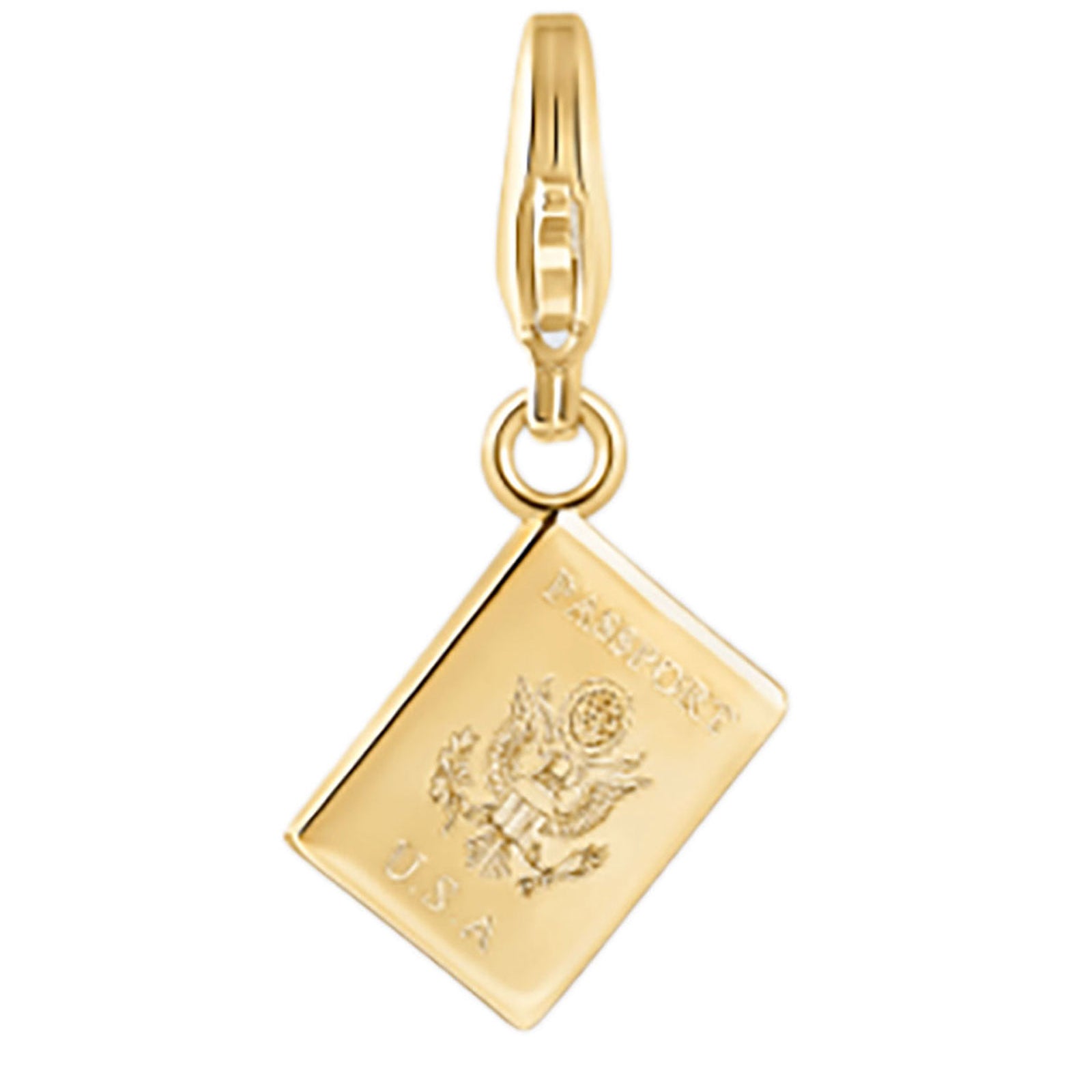 Electric Picks Charm Passport Jewelry - Trend Electric Picks Gold