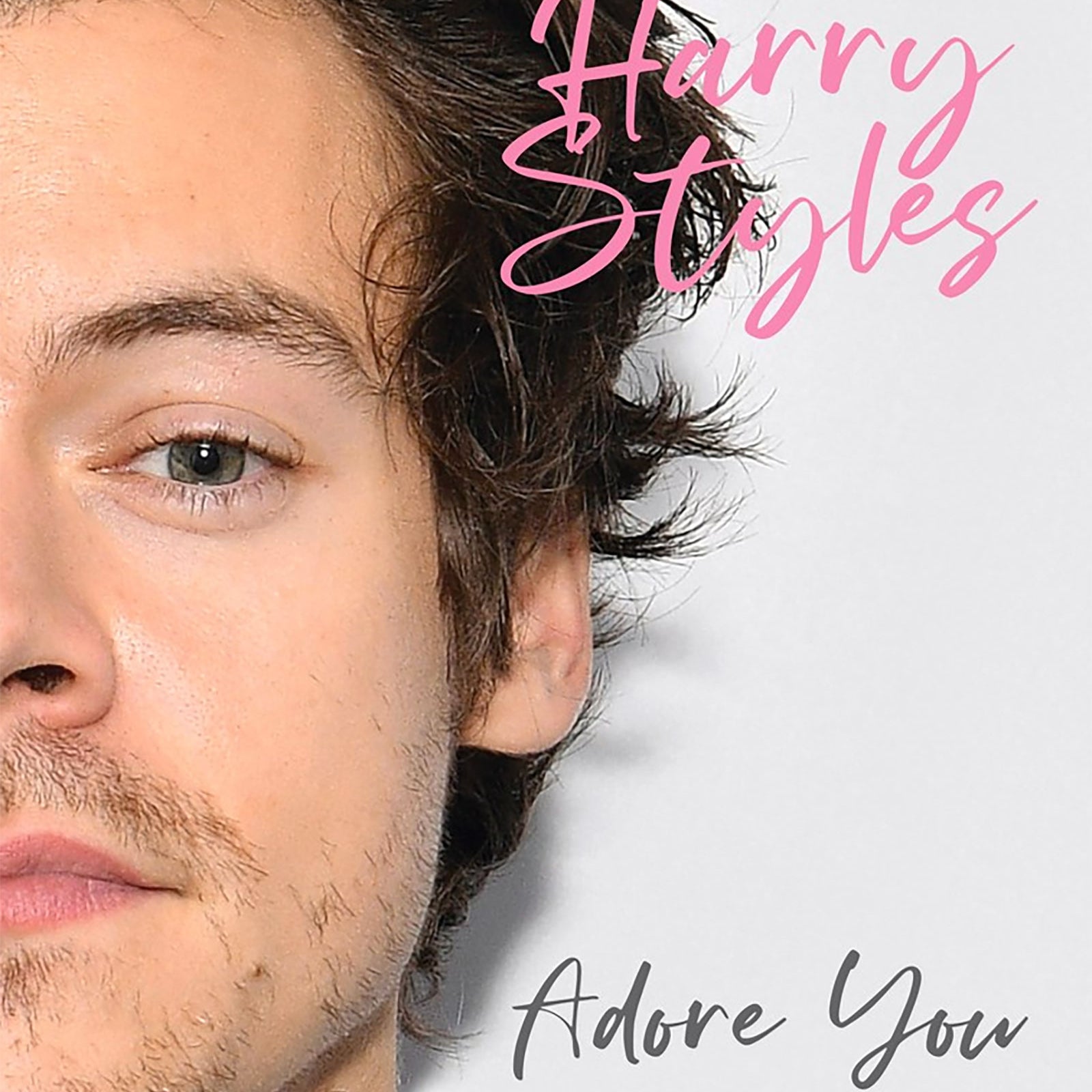 Harry Styles: Adore You The Illustrated Biography Distressed/seasonal gifts Frankie's Exclusives Multi