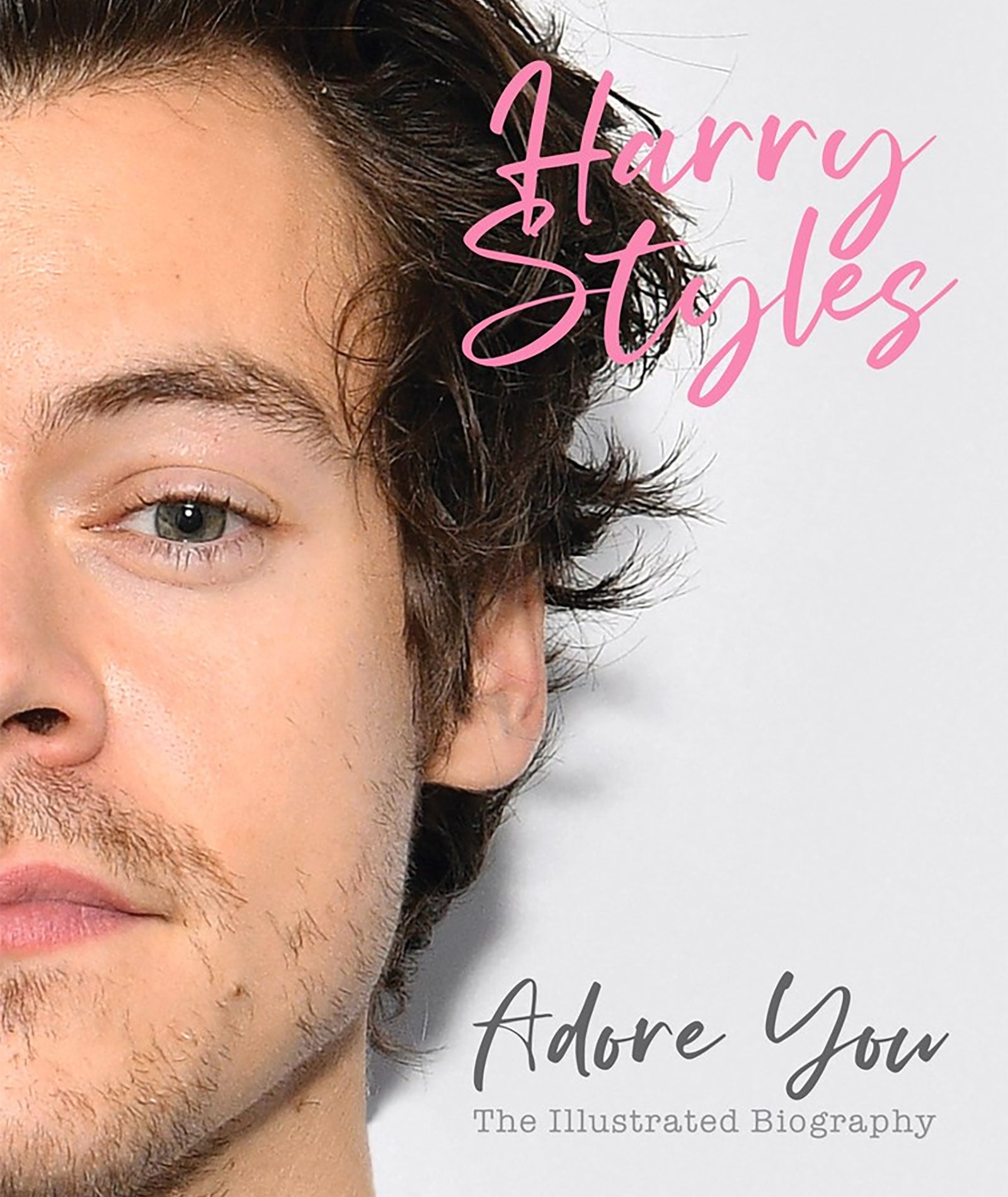 Harry Styles: Adore You The Illustrated Biography Distressed/seasonal gifts Frankie's Exclusives Multi