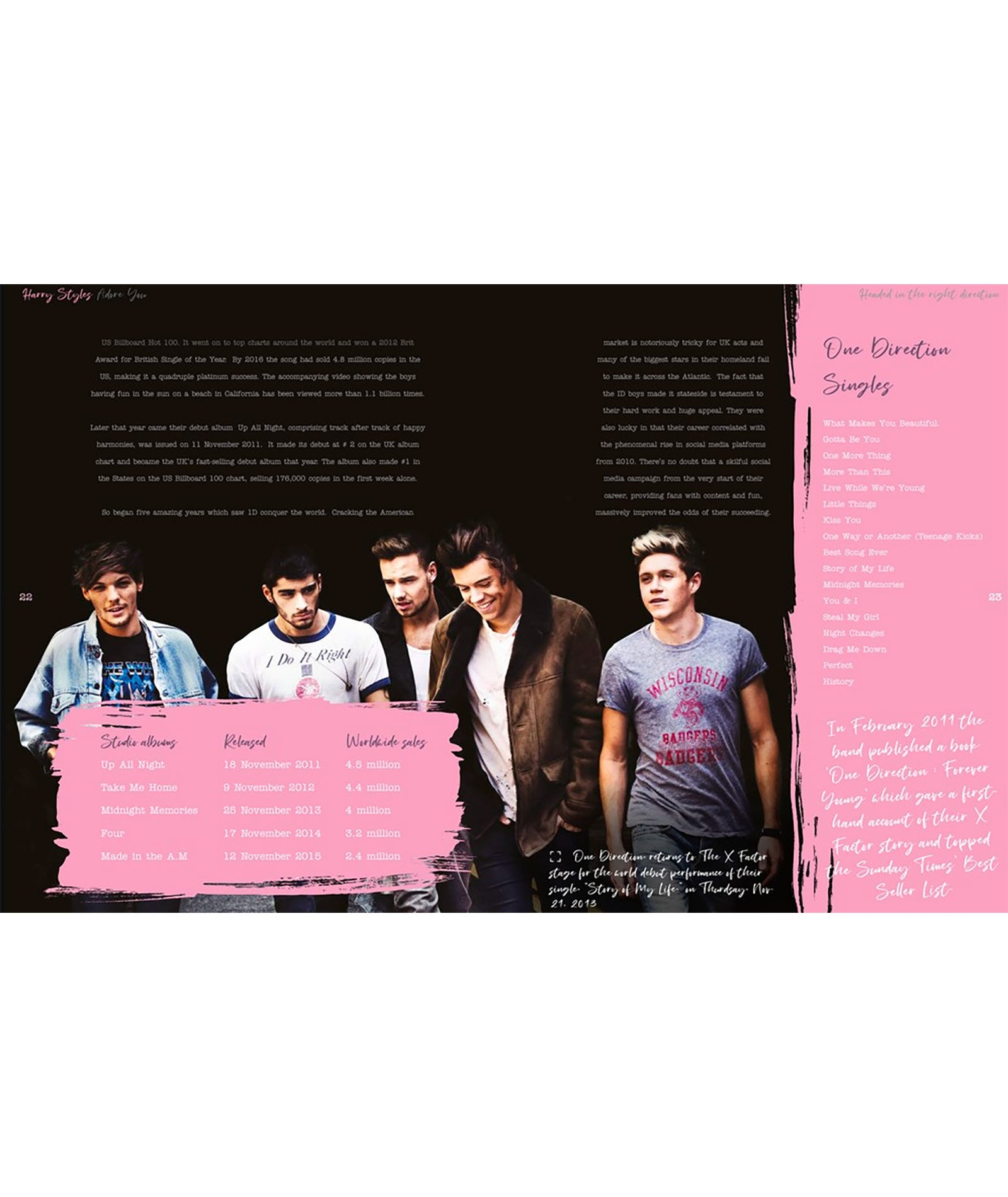 Harry Styles: Adore You The Illustrated Biography Distressed/seasonal gifts Frankie's Exclusives