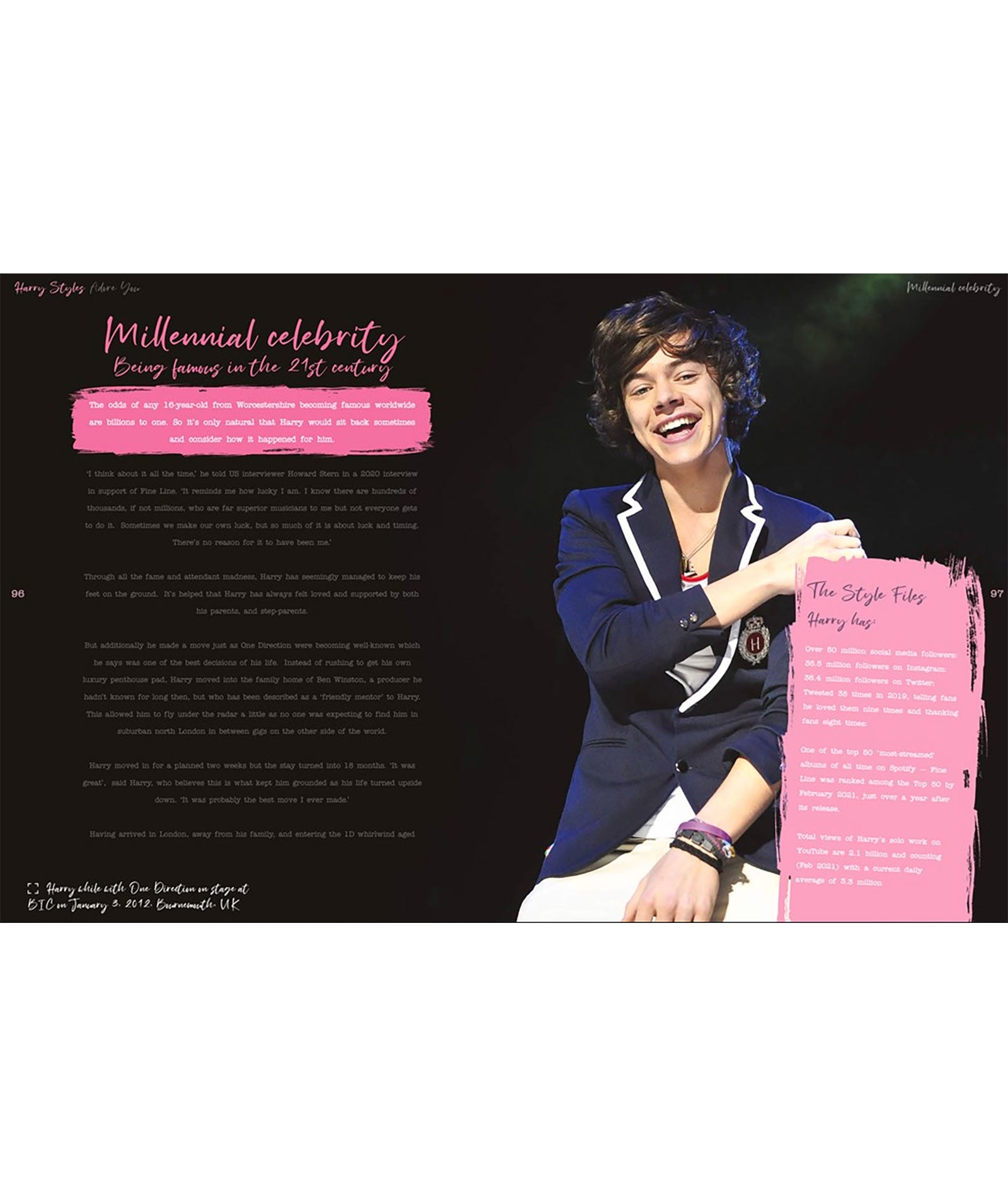 Harry Styles: Adore You The Illustrated Biography Distressed/seasonal gifts Frankie's Exclusives
