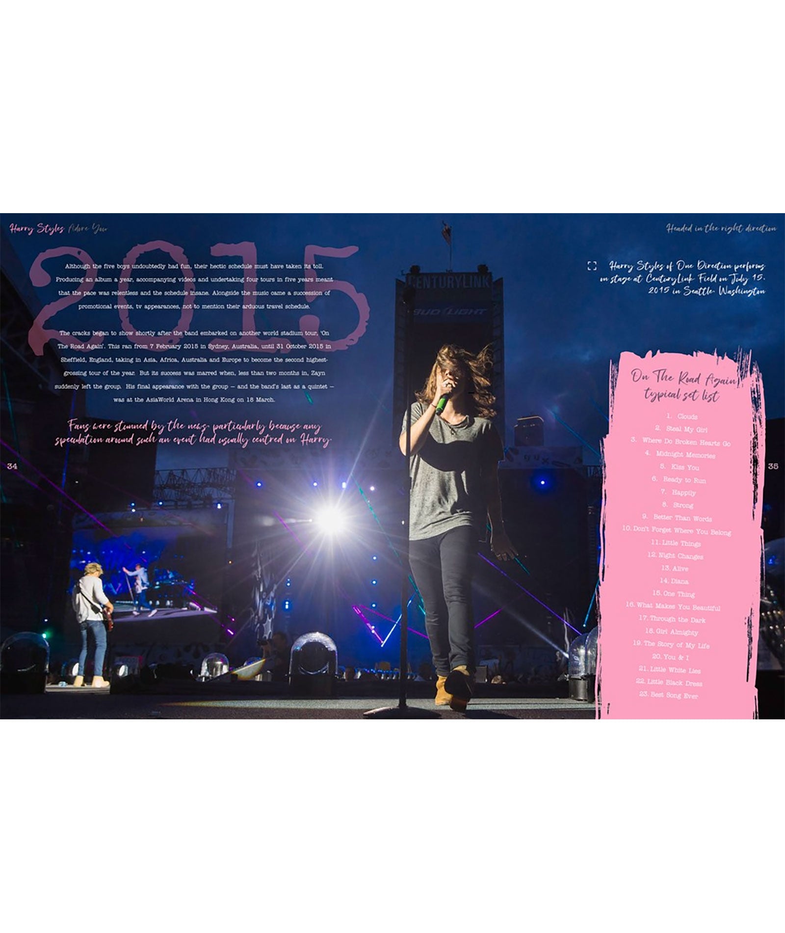 Harry Styles: Adore You The Illustrated Biography Distressed/seasonal gifts Frankie's Exclusives