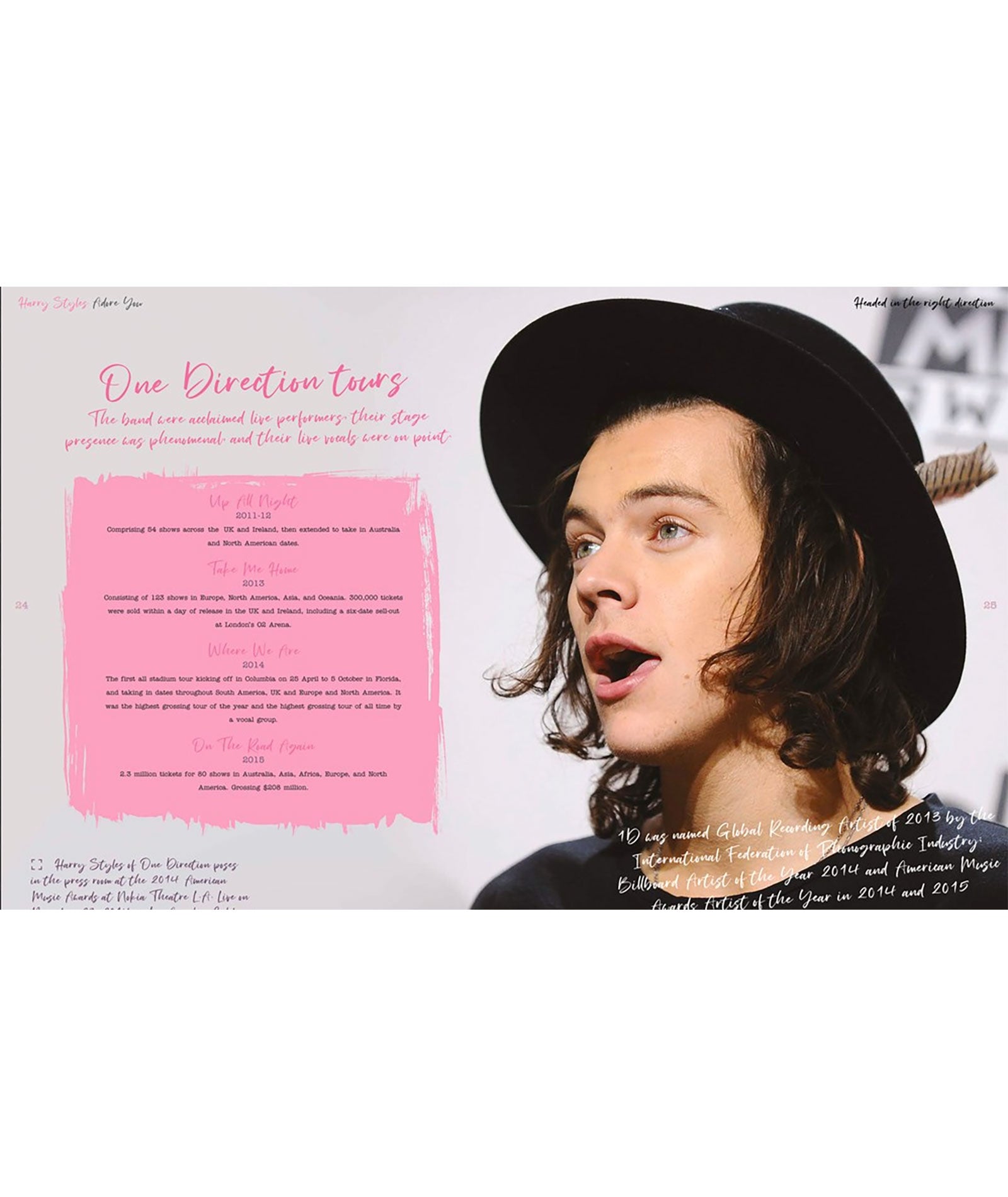 Harry Styles: Adore You The Illustrated Biography Distressed/seasonal gifts Frankie's Exclusives