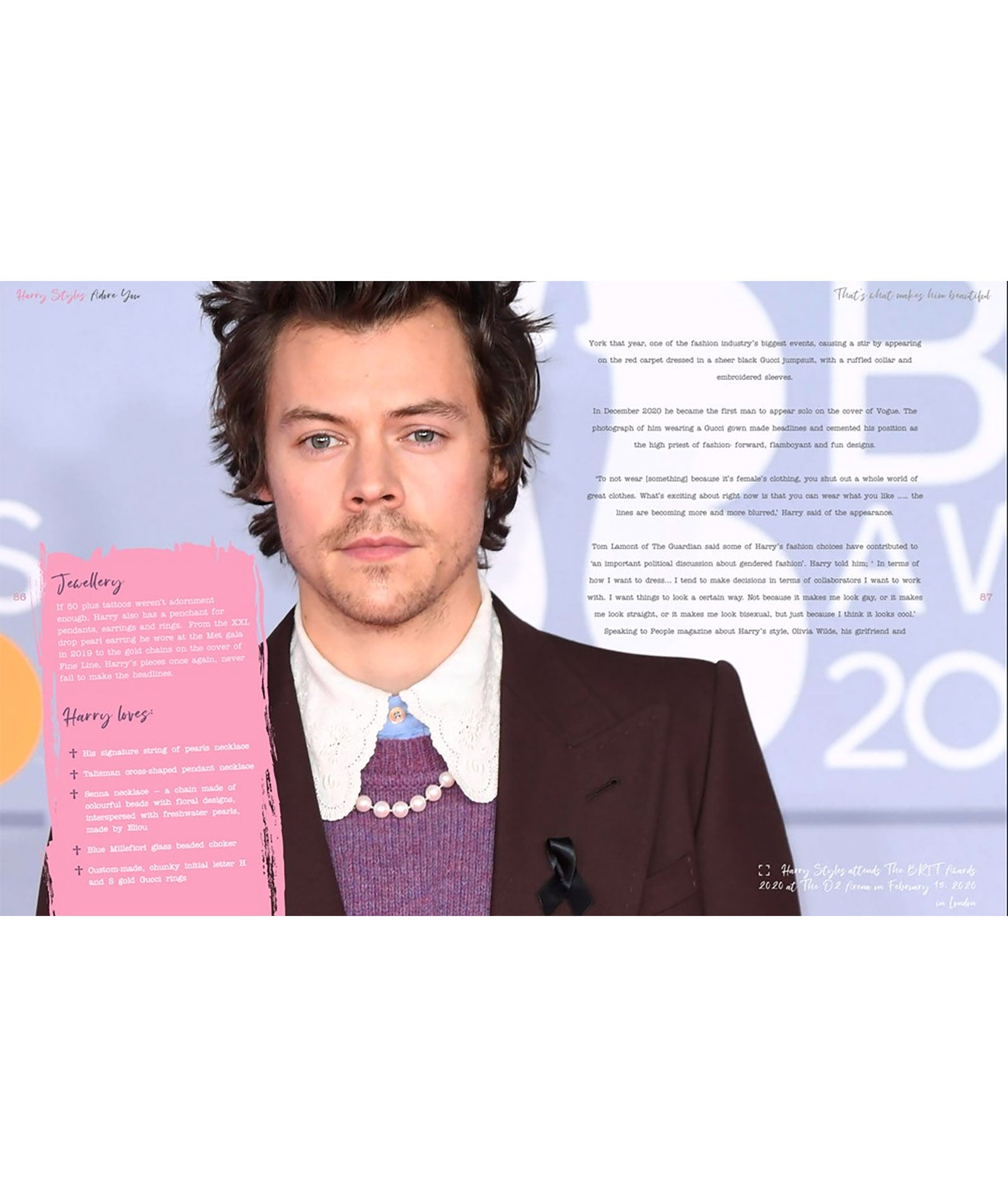 Harry Styles: Adore You The Illustrated Biography Distressed/seasonal gifts Frankie's Exclusives