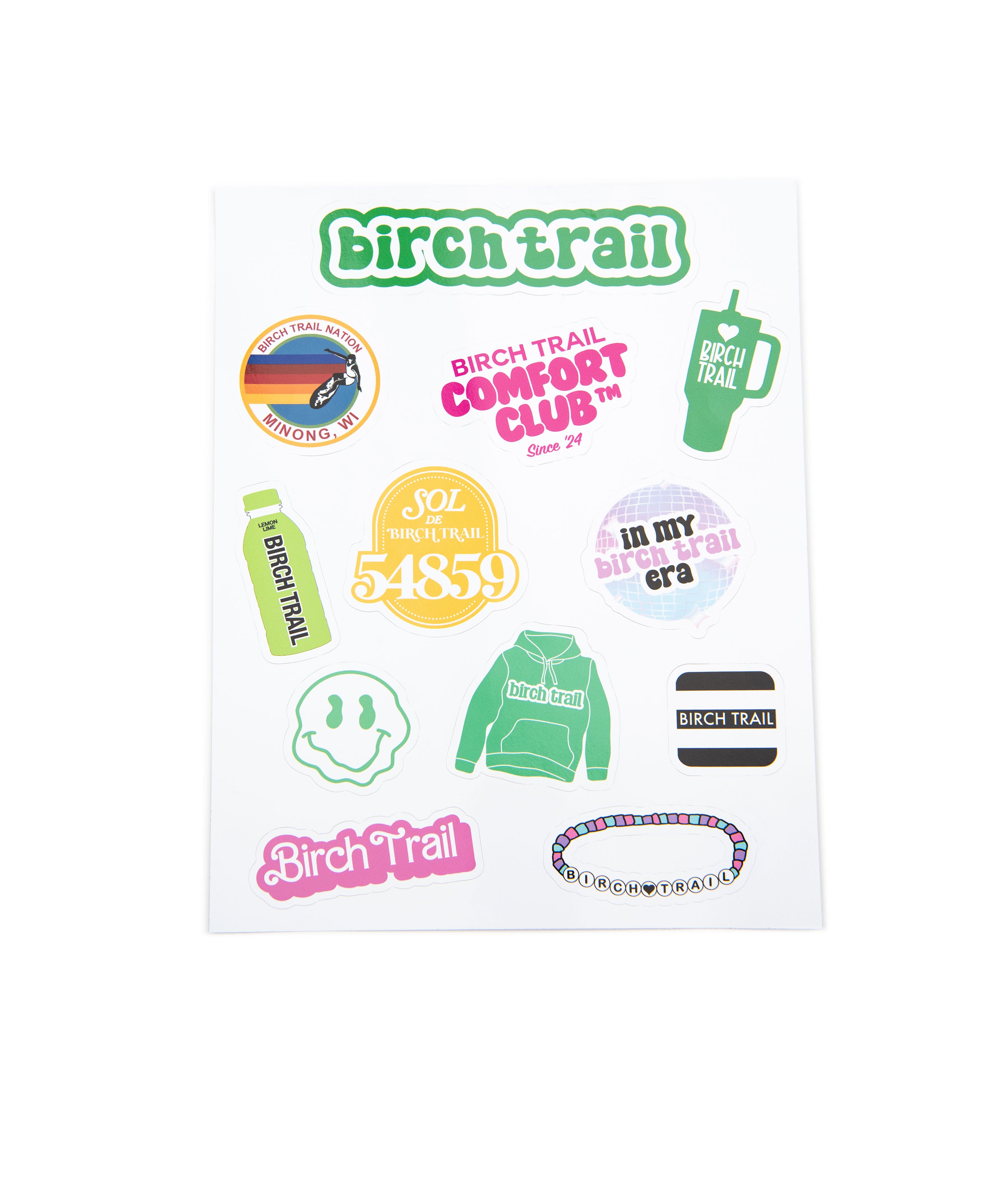 Camp Name Vinyl Sticker Set of 12 Distressed/seasonal gifts A Wink and a Nod Multi Birch Trail