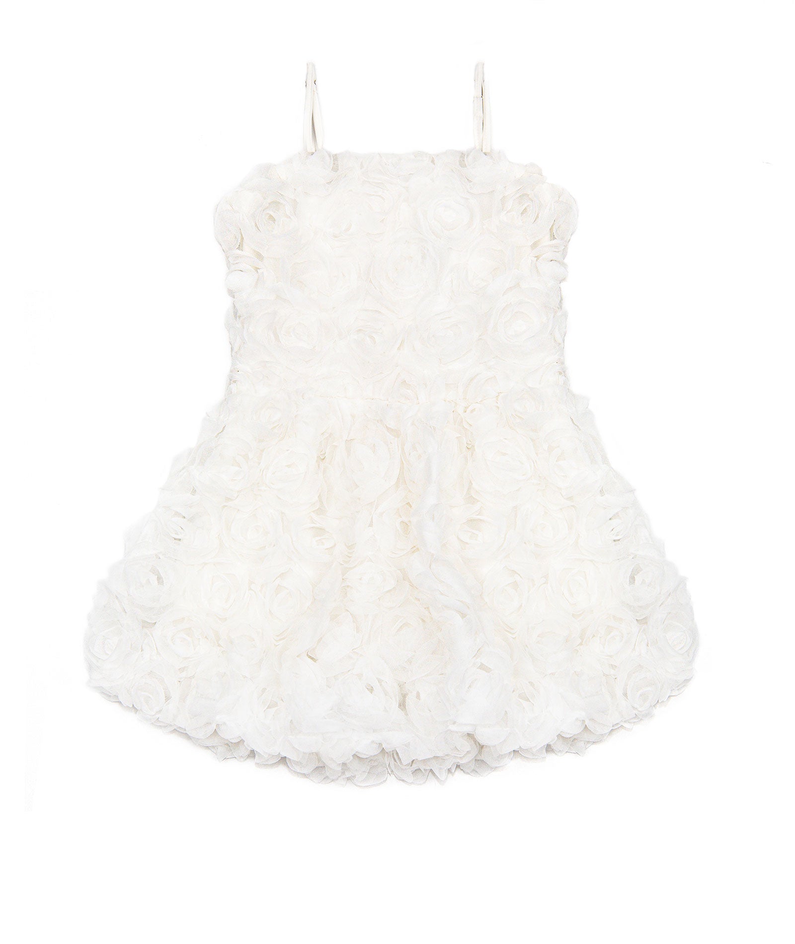 FBZ Girls Serena Allover Roses Dress