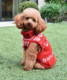 Love Shack Fancy Women Arindia Dog Sweater Red Velvet Truffle Accessories Love Shack Fancy Red Dog/S