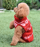 Love Shack Fancy Women Arindia Dog Sweater Red Velvet Truffle Accessories Love Shack Fancy