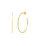 TAI Sleek Large Gold Hoops