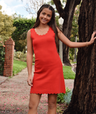 8apart Women June Scallop Knit Dress Womens Casual Dresses 8apart Red Juniors/Women S