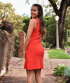 8apart Women June Scallop Knit Dress Womens Casual Dresses 8apart