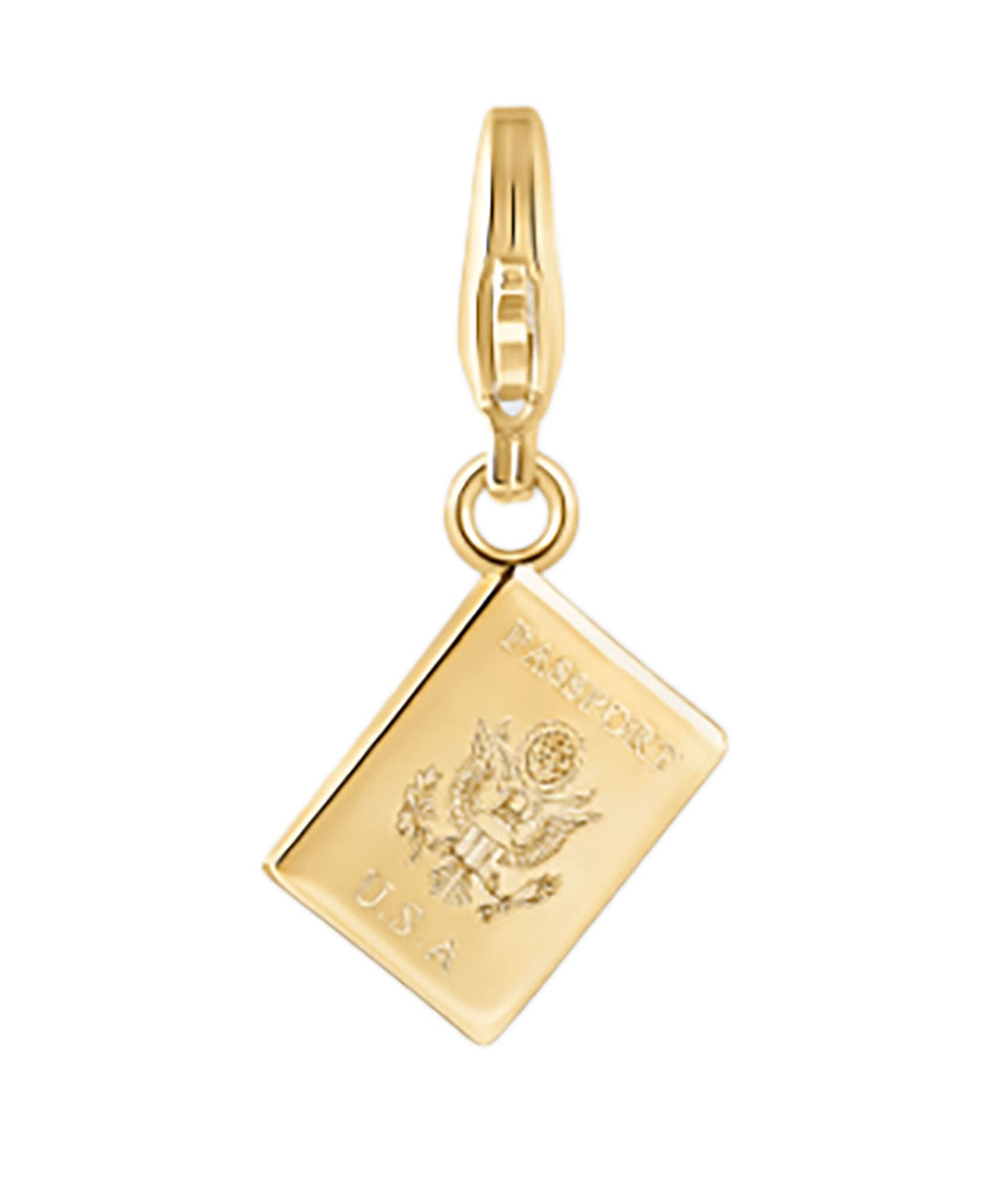 Electric Picks Charm Passport Jewelry - Trend Electric Picks Gold