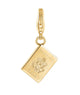 Electric Picks Charm Passport Jewelry - Trend Electric Picks Gold