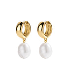 Electric Picks San Tropez Hoops Jewelry - Trend Electric Picks Gold